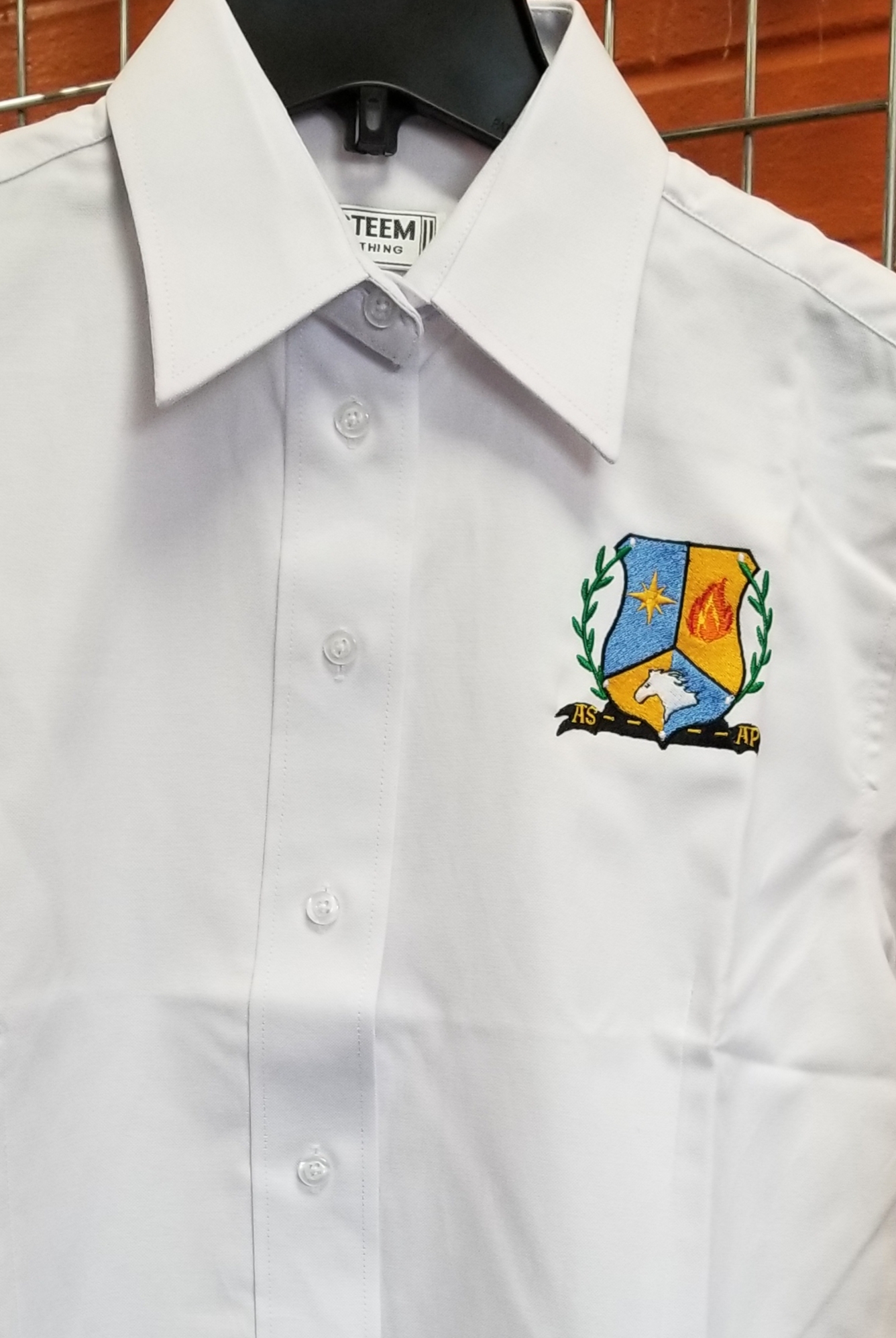 BC-Girls/Ladies Long sleeve oxford shirt with Logo